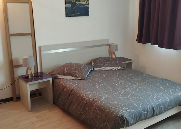 Lourdes Grand Studio Classe 2 Etoiles De 1 A 4 Personnes